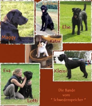 vom Schwedenspeicher