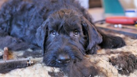 vom Schwedenspeicher