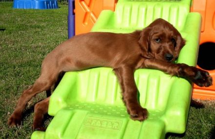 von den Altheimer Herrenwiesen