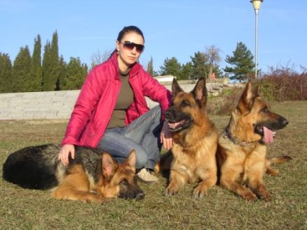 vom Wolpertinger Wald