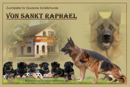 von Sankt Raphael