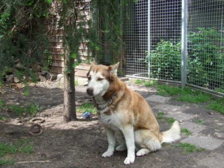 Tierpension & Hörnchenzuchtfarm Richter