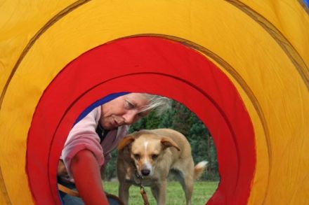 Hundeschule Teamplay