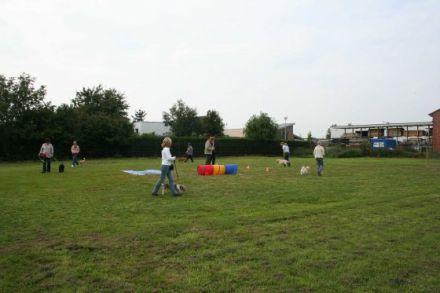 Hundeschule Teamplay