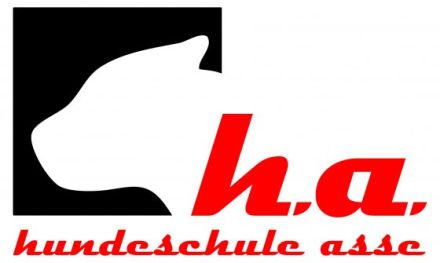 hundeschule asse