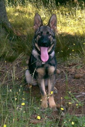 vom kleinen Preußen