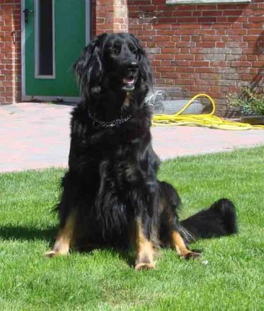 von der Lembecksburg