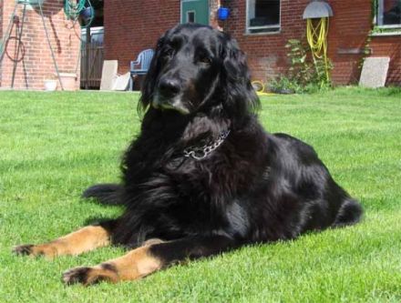 von der Lembecksburg