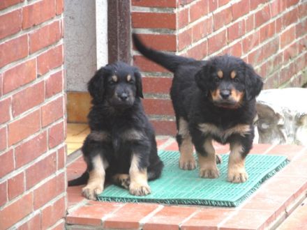 von der Lembecksburg