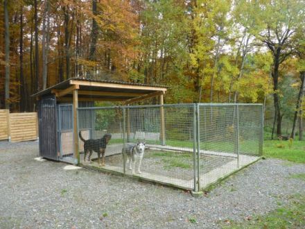 Hundepension,Hunderesidenz-Druck,Limburg,Hadamar