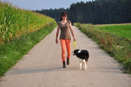 Hundeschule Canis-Vera