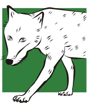 Hundeschule Fränkische Schweiz