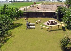 Fünf Sterne für Vier Pfoten