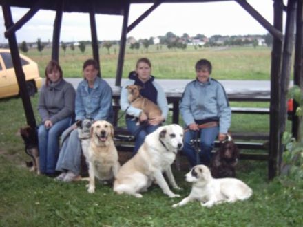 Pit & Felix - Mensch und Hund als Partner