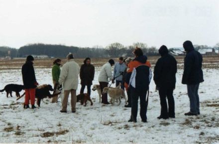 Pit & Felix - Mensch und Hund als Partner