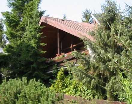 SCHWIMMBAD und SAUNA