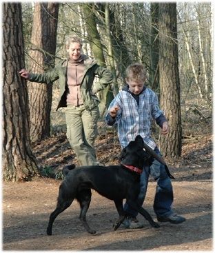 Hundeschule Loewenzahn