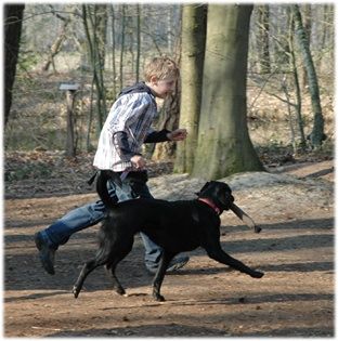 Hundeschule Loewenzahn