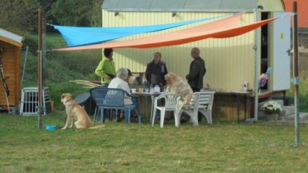 Georgsmarienhütter Hundefreunde e.V.