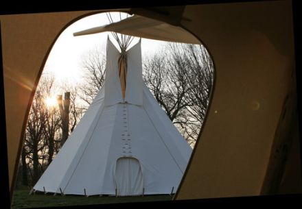 Schlittenhundeschule GlobusLine - Hundeschule für Schlittenhunde und Zughunde