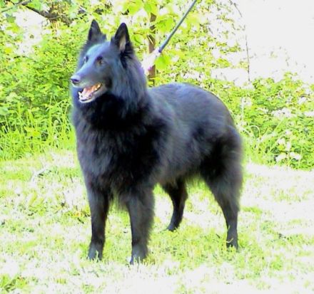 von der Schieferhalde