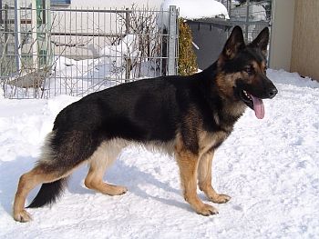 vom Reiterles Kapelle