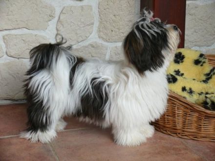 de la belle Ile Rügen