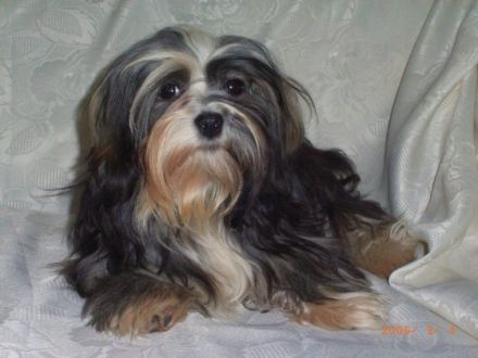 de la belle Ile Rügen