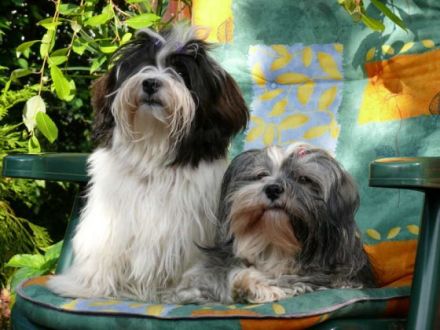 de la belle Ile Rügen