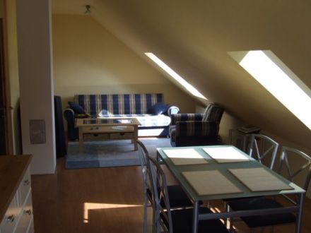 Urlaub mit Hund am Meer