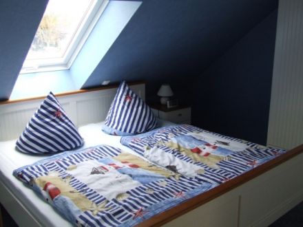 Urlaub mit Hund am Meer