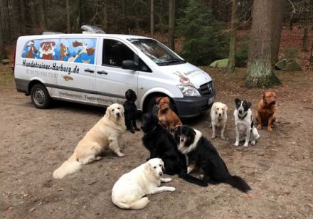 Hundesitter Harburg