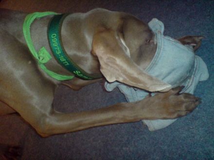 Campingplatz Furth im Wald