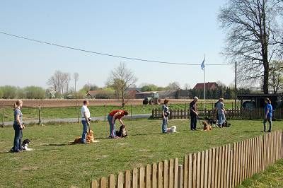 Hundeschule Landersum