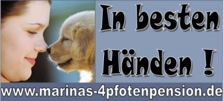 Marinas Hundeschule bei Rastatt