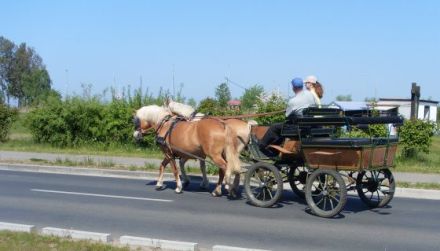 Zwei Ferienwohnungen Fam. Maaß in Freest