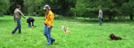 "Shvya" Hundeschule in Hamburg-Alstertal