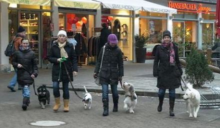 "Shvya" Hundeschule in Hamburg-Alstertal
