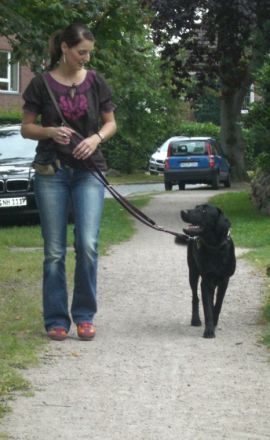 "Shvya" Hundeschule in Hamburg-Alstertal