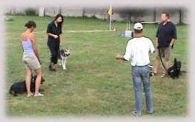 Mondioring - Hundeschule Manfred Urak