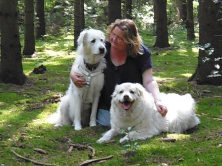 Hundeschule  Petershagen