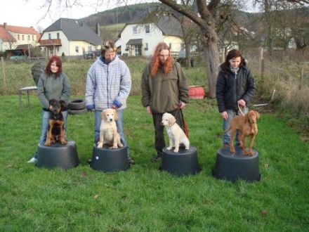 Hundeschule canis amigus