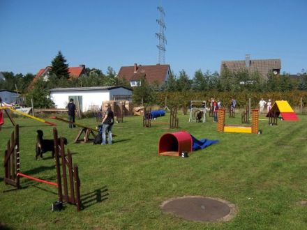 Familienhundausbildung