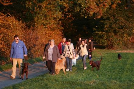 Familienhundausbildung