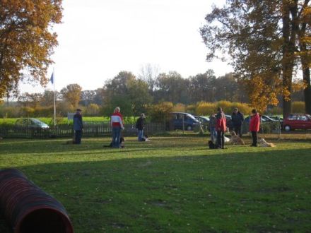 Hundeschule Neuenkirchen Rheine