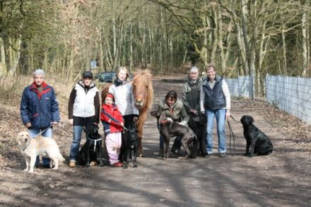Hundeschule Buchholz Hunde - Claudia Friederich