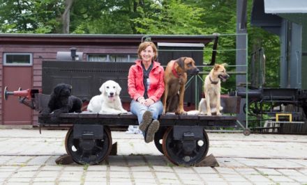 Hundeschule Buchholz Hunde - Claudia Friederich