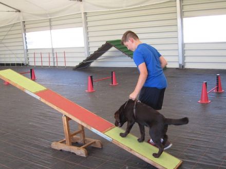 Hundeschule Schuster mit Trainingshalle bei Bonn