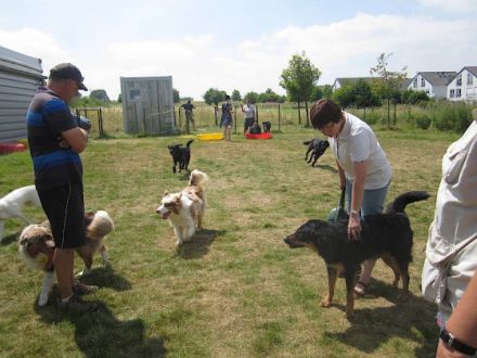 Hundeschule Schuster mit Trainingshalle bei Bonn