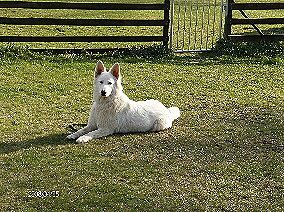 from Peace and Harmony